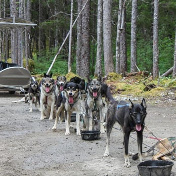 Alaska X - Tours Near Me - Skagway, Alaska