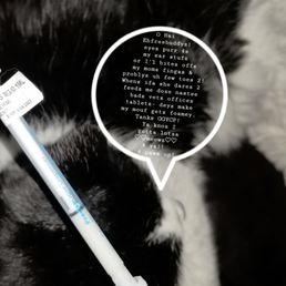Compounded medication, in transdermal lotion format for cats ears. Compounded medication, in transdermal lotion format for cats ears.