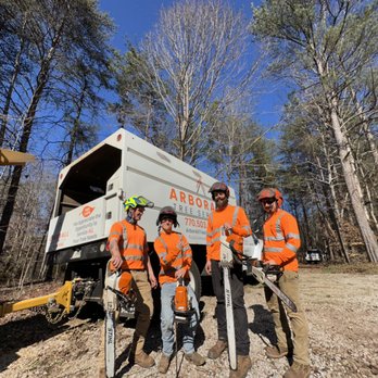Arborall Tree Service - Tree Services Near Me - Flowery Branch, Georgia Arborall Tree Service - Tree Services Near Me - Flowery Branch, Georgia