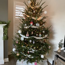 Treeland Christmas Trees - Fraser Fir