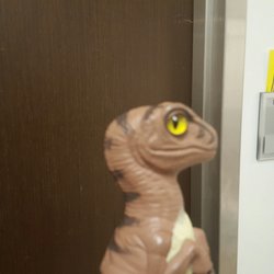 Cleveland Clinic Global Patient Services - Bob the Raptor Says "There are big private rooms here."