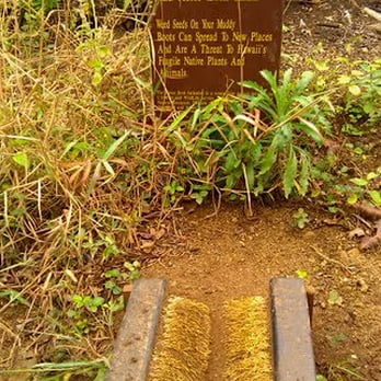 Kuliouou Ridge Trail - This marks the fork in the trail. Turn right and go up for the ridge trail. Straight takes you into the valley. - Hiking Near Me - Honolulu, Hawaii Kuliouou Ridge Trail - This marks the fork in the trail. Turn right and go up for the ridge trail. Straight takes you into the valley. - Hiking Near Me - Honolulu, Hawaii