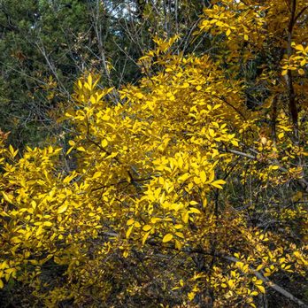 Madera Canyon - Public Services & Government Near Me