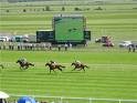 The Curragh Racecourse by null