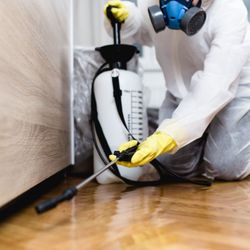 Murray Exterminating