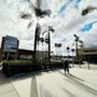 Photo of Palm Center