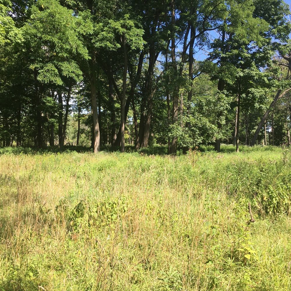 St. Paul Woods - Parks Near Me - Morton Grove, Illinois