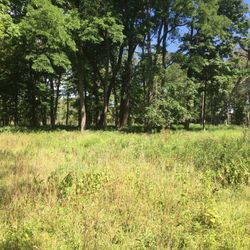St. Paul Woods