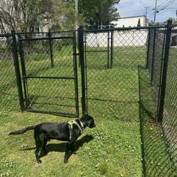 Carnesville Paws & Play Park - Double gates to ensure no pups get out
