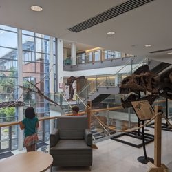 Mace Brown Museum of Natural History