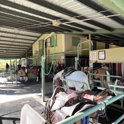 Hacienda Buena Vista