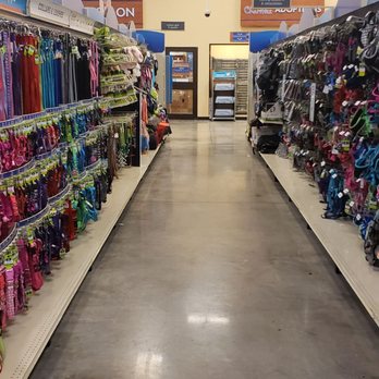 PetSmart Dog Training - Pet Training Near Me - Casselberry, Florida PetSmart Dog Training - Pet Training Near Me - Casselberry, Florida
