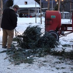 Paine's Christmas Trees - Ben getting our tree all trimmed up for us!