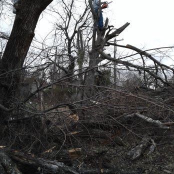 Martinez Tree Service - Tree Services Near Me Martinez Tree Service - Tree Services Near Me