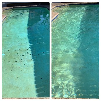PH Perfect Pools - Pool Cleaners Near Me