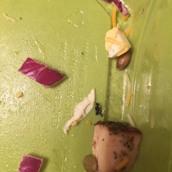 Salata - Dead fly!! I saw this after I consumed my entire salad! 10 dollar fly! - Salad Near Me - Houston, Texas Salata - Dead fly!! I saw this after I consumed my entire salad! 10 dollar fly! - Salad Near Me - Houston, Texas