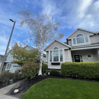 Legacy Tree Service - Tree Services Near Me