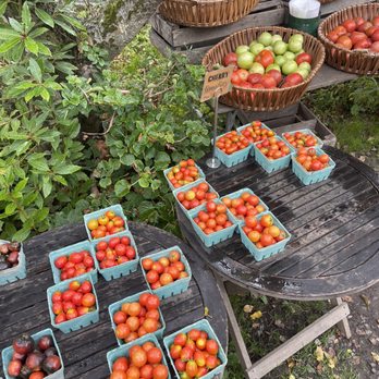 Blooming Hill Farm - Farmers Market Near Me - Monroe, New York