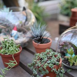 Joe Cappel’s Lawn Landscape & Garden Center