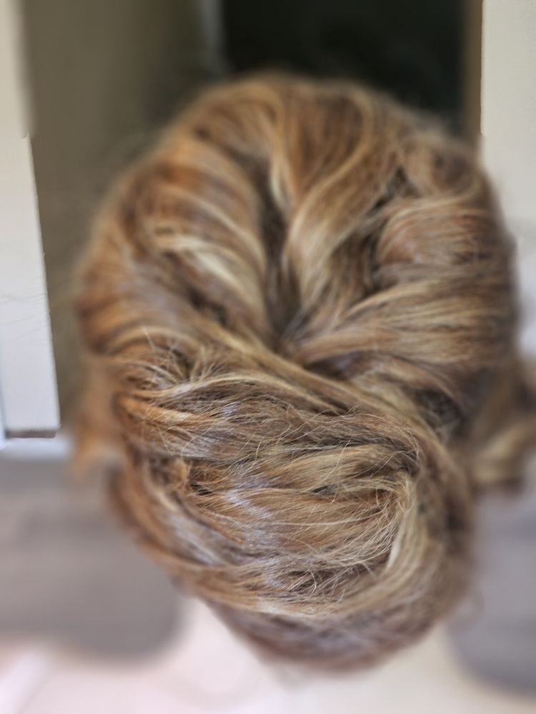 Professional Hair Designers Logo