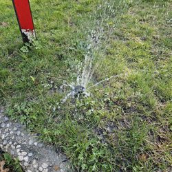 BRIGUGLIO QUALITY CUTS - Ooooh look a broken sprinkler