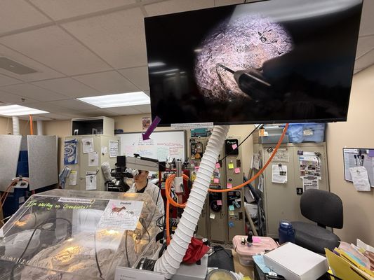 Ben Reifel Visitor Center by null