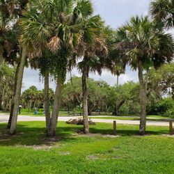 White City Park - Bill Lewis checking out this hidden gem - the White City Park in Fort Pierce.