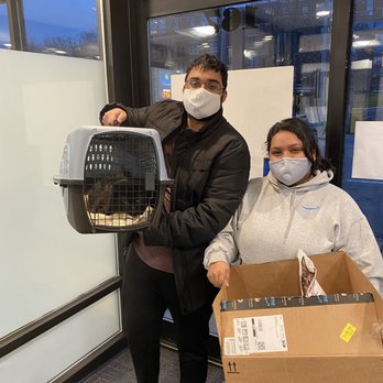 The Cat Connection - Animal Shelters Near Me