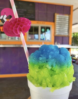 Armadillo Snow Cones by null