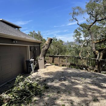 Blue Sky Tree Service - Tree Services Near Me - Greenbrae, California Blue Sky Tree Service - Tree Services Near Me - Greenbrae, California