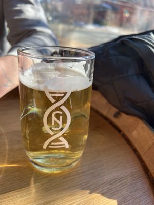 Novel Strand Brewing Company by null