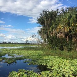 Scotty's Cove Conservation Area