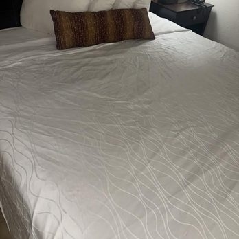 Best Western Des Plaines Inn - Bedding wrinkled!! Couldn't have been washed and dryed if it is all wrinkled?? - Hotels Near Me - Des Plaines, Illinois