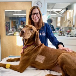 Hudson Valley Veterinary Dermatology - Westchester - Dr. Budgin and Sacha