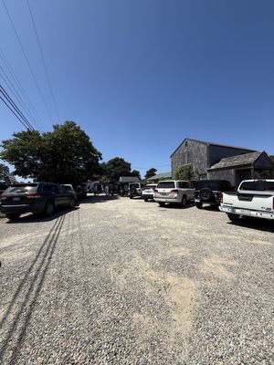167 Raw Nantucket by null