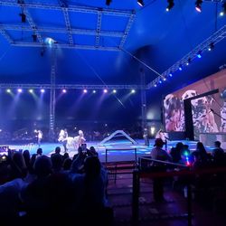 Cruella performance