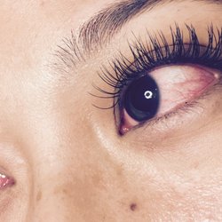 The Lash Lady - A gorgeous set of Classic Lashes