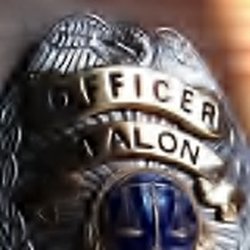 Talon Premier Security