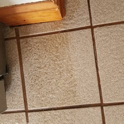 Carpet Cleanse