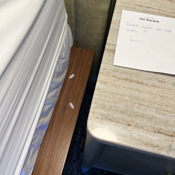 The Darwin Hotel - Woke up and found fingernails on the side of the bed. I left a note for housekeeping. I don't wear fake nails. - Hotels Near Me - Atlanta, Georgia