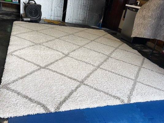 Rugs Cleaning - We are glad o share some Rugs Steam Cleaning from our valuable clients specially because they trust in our services. Rugs Cleaning - We are glad o share some Rugs Steam Cleaning from our valuable clients specially because they trust in our services.