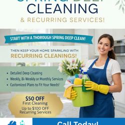 Top Level Cleaning Experts