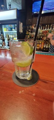 The Blind Pig by null