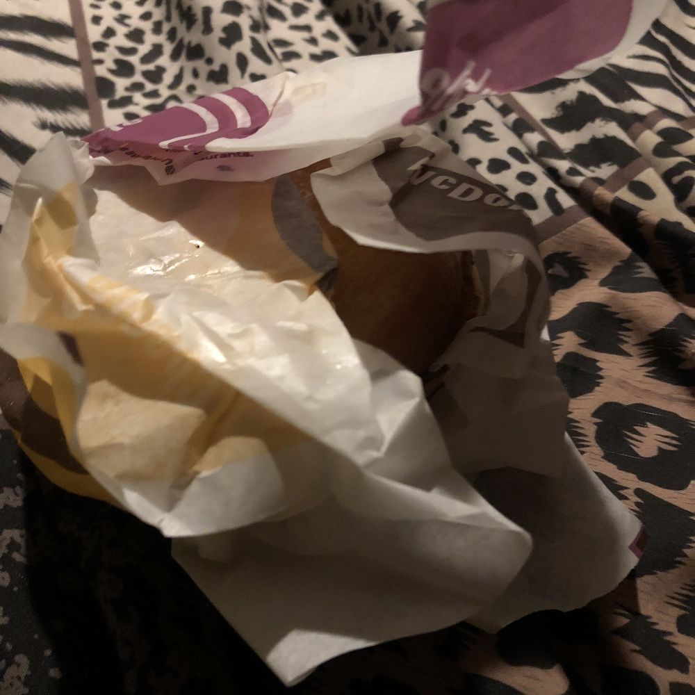 a bag of fries and a sandwich a bag of fries and a sandwich