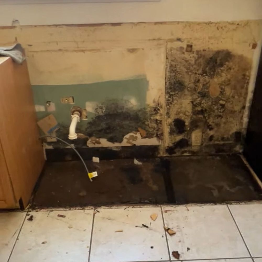 William's Plumbing - A picture of the damage behind the sink. The floor underneath all wet. A pipe was broken here as well causing damage. - Plumbing Near Me - Casmalia, California