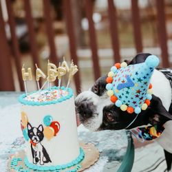 Classy Girl Cupcakes - Yumm