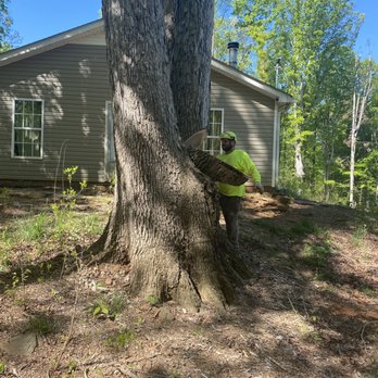 Take 'Em Down Tree Experts - Tree Services Near Me Take 'Em Down Tree Experts - Tree Services Near Me
