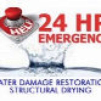 Mold Pro Restoration Specialist - Damage Restoration Near Me Mold Pro Restoration Specialist - Damage Restoration Near Me