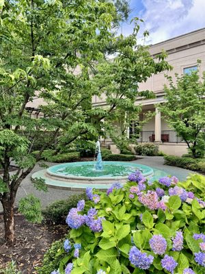 Chrysler Museum of Art by null
