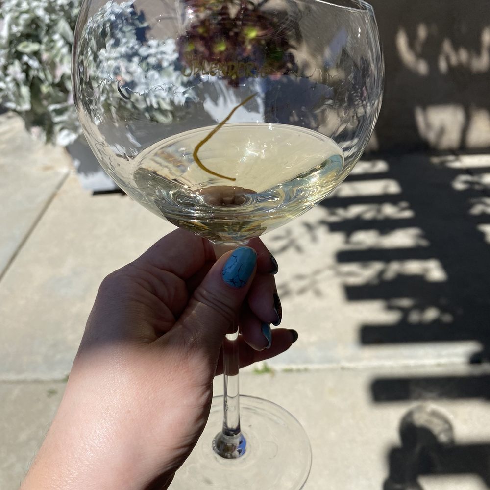 Sblendorio Winery - Cheers - Wine Tasting Room Near Me - Fallbrook, California